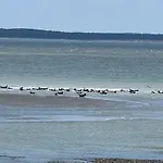 Apartment L'estacade Avec Sur Le Tréport