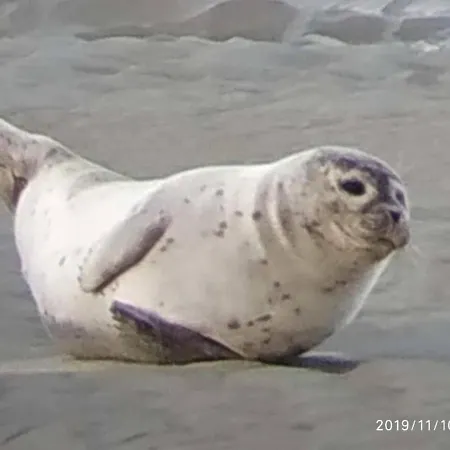 L'estacade Avec Sur Apartament *